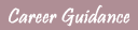Career Guidance